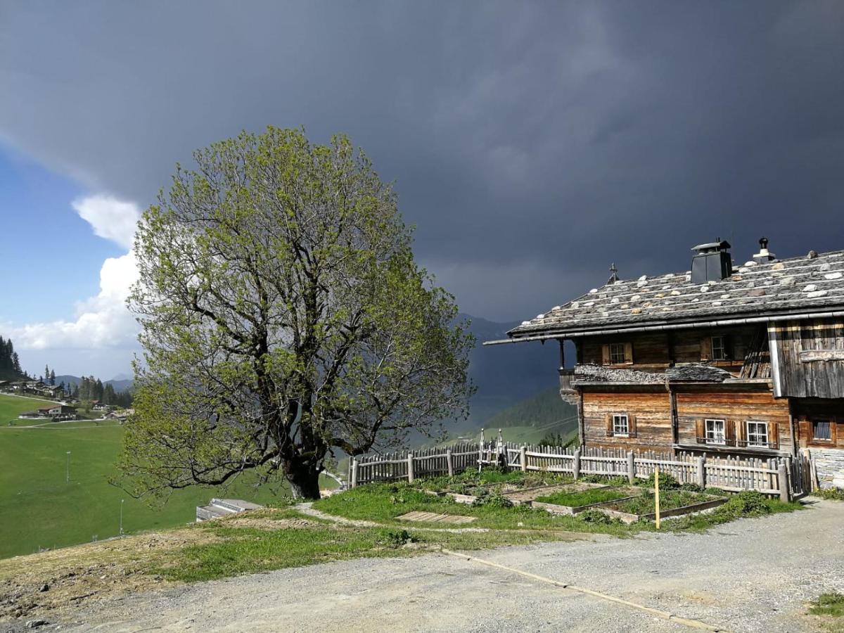 Appartements Alpenblick Soell ภายนอก รูปภาพ