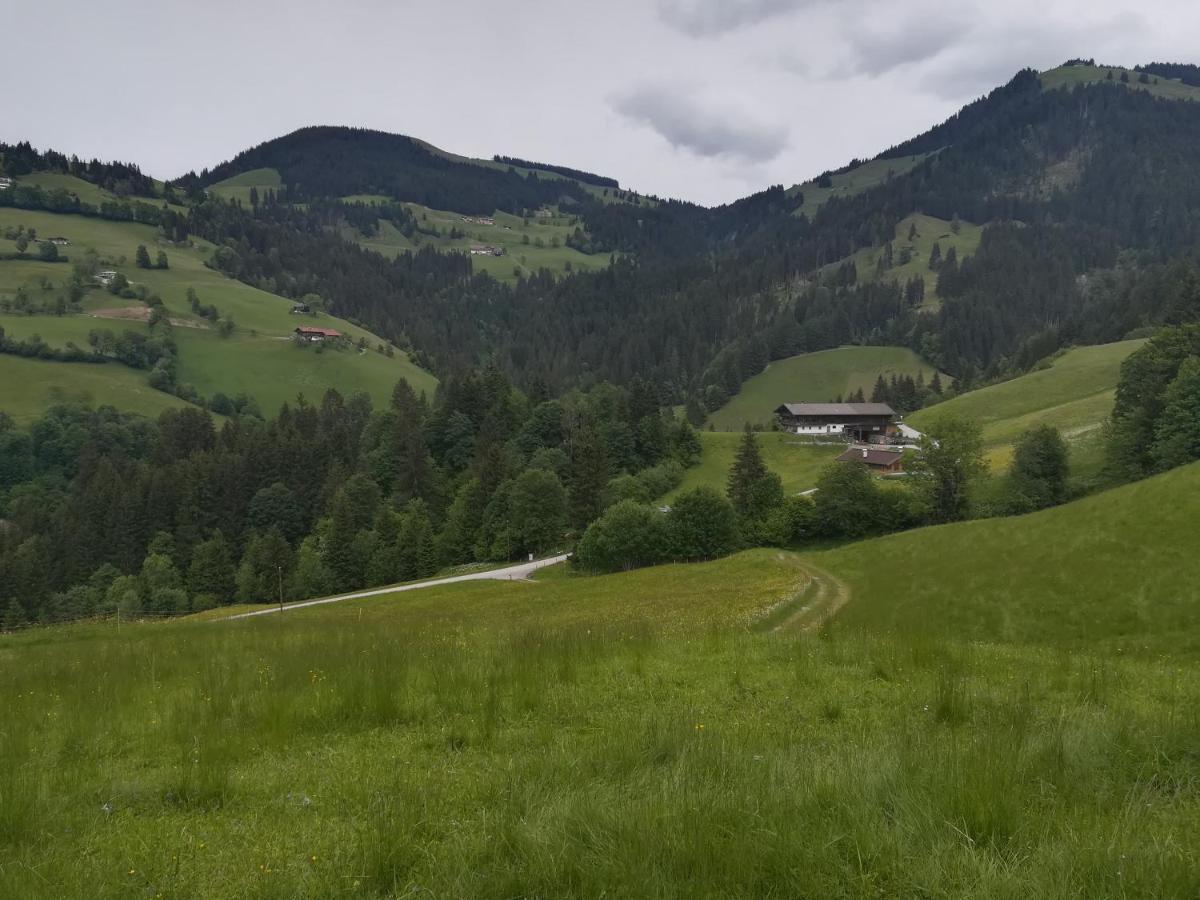 Appartements Alpenblick Soell ภายนอก รูปภาพ